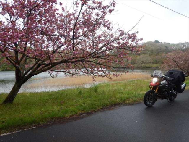バイクの画像