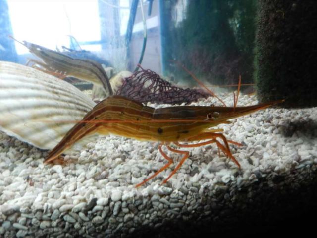 野付半島ネイチャーセンター