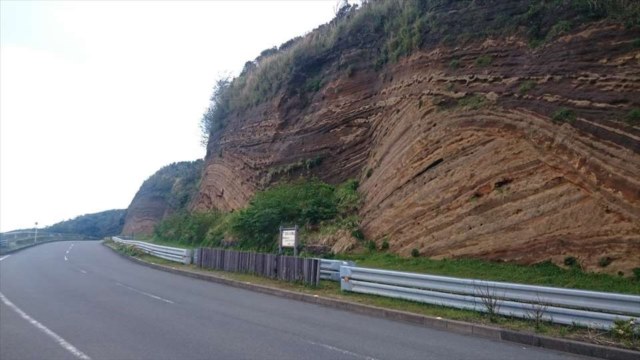 バウムクーヘンの道