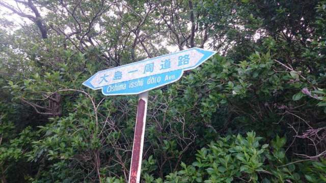 大島一周