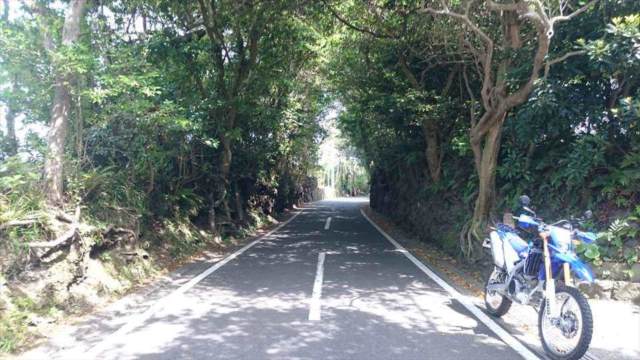 大島一周