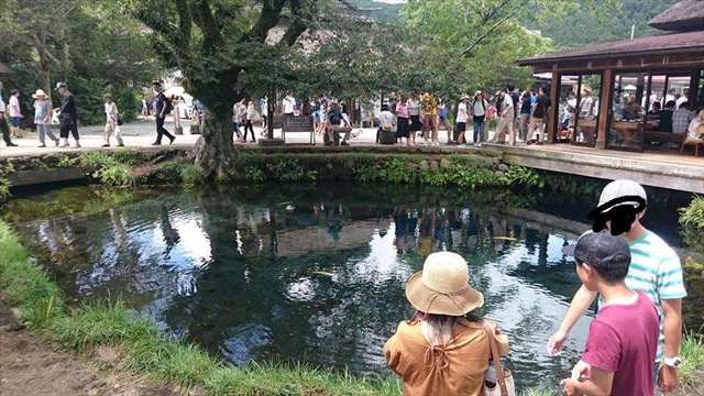 忍野八海2
