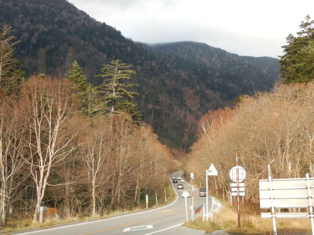 f:id:sujiniku5150:20161030211457j:plain f:id:sujiniku5150:20161030211457j:plain