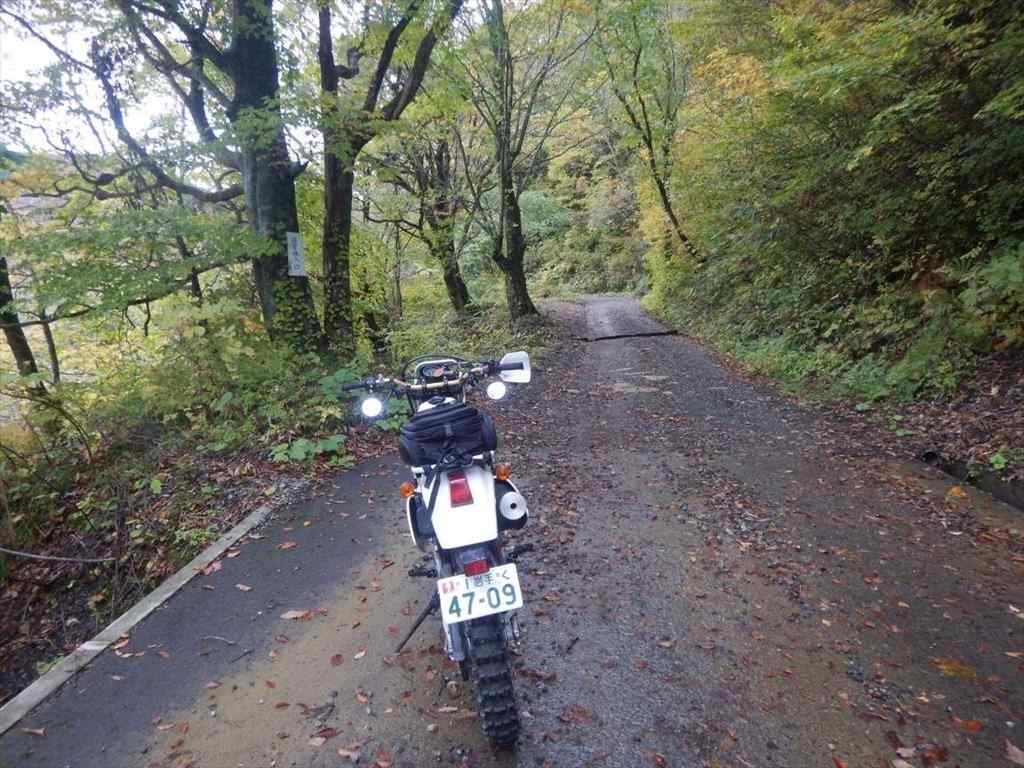 f:id:sujiniku5150:20171022180105j:plain f:id:sujiniku5150:20171022180105j:plain