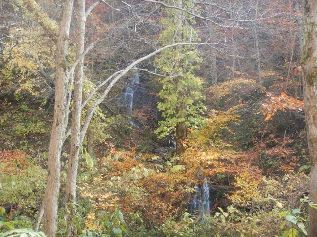 f:id:sujiniku5150:20171118221316j:plain f:id:sujiniku5150:20171118221316j:plain