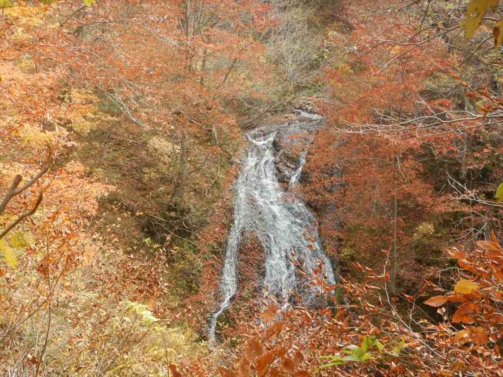f:id:sujiniku5150:20171118221402j:plain f:id:sujiniku5150:20171118221402j:plain