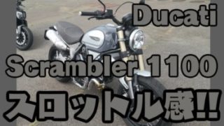 スクランブラー1100-サムネイル画像