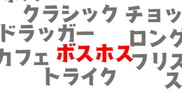 拡大画像